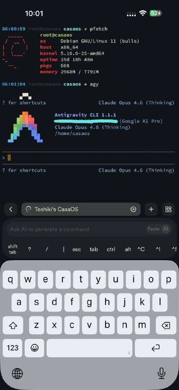Finally yet successfully configured SSH access from my phone to my remote home server in the US via Tailscale, without exposing a public IPv4 address from my ISP! #dev