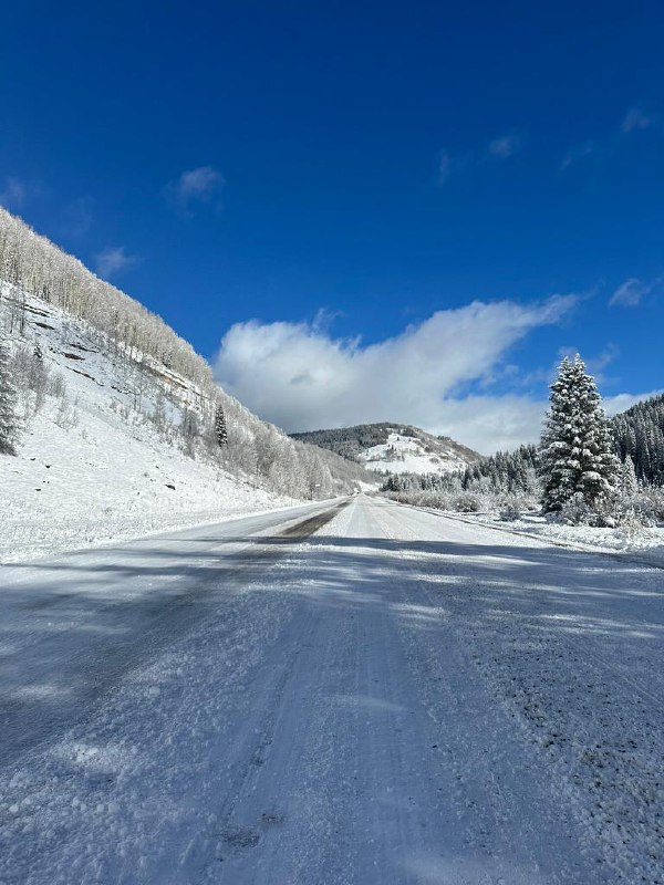 📍San Juan National Forest, CO. #life📍San Juan National Forest, CO. #life