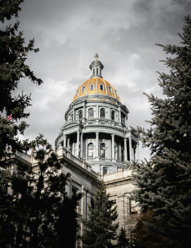 📍Denver, CO. Beatiful streets at night but easily one of the most boring downtowns I've ever been to; not much activities to do aside from walking post-dinner. #life📍Denver, CO. Beatiful streets at night but easily one of the most boring downtowns I've ever been to; not much activities to do aside from walking post-dinner. #life