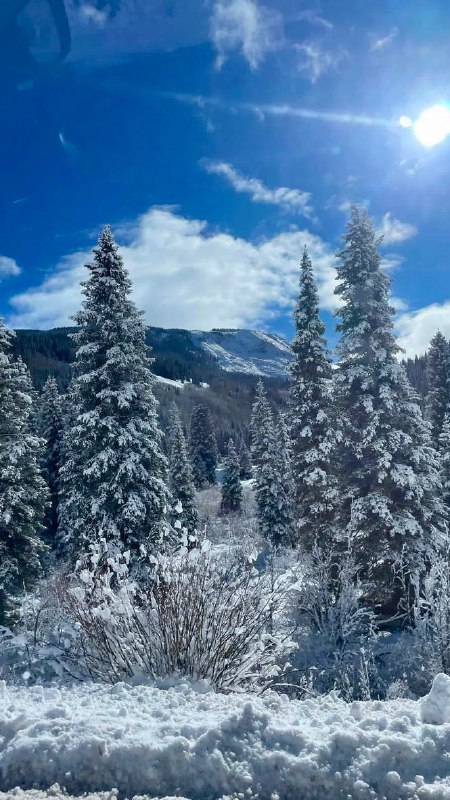 📍San Juan National Forest, CO. #life📍San Juan National Forest, CO. #life