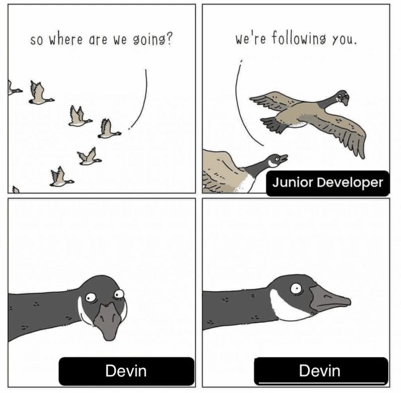 Devin is leading us to a complete nonnative level of oblivious void. #daily